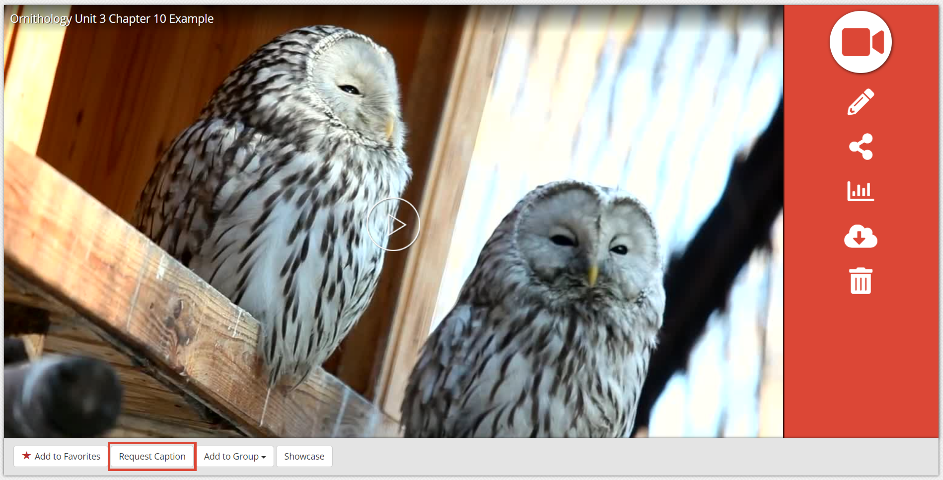 Request Caption Button Location